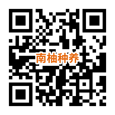手机网站